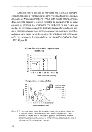 A pesca e os recursos pesqueiros na Amazônia brasileira


      A relação entre o período de marcação nas escamas e as migra-
ções de dispersão e reprodução foi bem evidenciada para os jaraquis
na região de Manaus por Ribeiro (1983). Este estudo acompanhou o
deslocamento espacial e obteve medidas de comprimento de uma
amostra de jaraquis que migravam em cardumes no rio Negro. As
médias de comprimento padrão destes jaraquis ao longo do ano per-
mitiu elaborar uma curva de crescimento que foi mais tarde corrobo-
rada com uma outra curva de crescimento obtida por retrocálculo de
anéis nas escamas de Semaprochilodus taeniurus (Fabré & Saint – Paul,
1997) (Figura 7).




Figura 7. Curva de crescimento de Semaprochilodus taeniurus: acima, obtida por
          acompanhamento de cardumes (Ribeiro, 1983) - os pontos da curva
          indicam os valores modais das distribuições de comprimento de cada
          cardume acompanhado; abaixo, os comprimentos retrocalculados para os
          diferentes anéis marcados nas escamas.


44
 