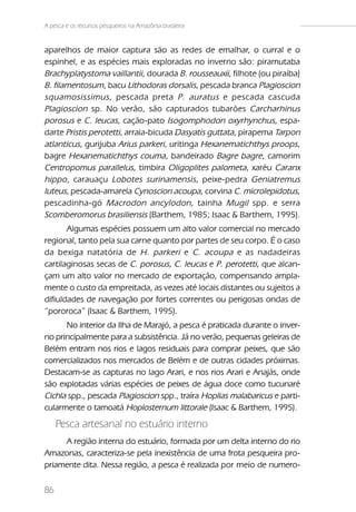 A pesca e os recursos pesqueiros na Amazônia brasileira


aparelhos de maior captura são as redes de emalhar, o curral e o
espinhel, e as espécies mais exploradas no inverno são: piramutaba
Brachyplatystoma vaillantii, dourada B. rousseauxii, filhote (ou piraíba)
B. filamentosum, bacu Lithodoras dorsalis, pescada branca Plagioscion
squamosissimus , pescada preta P . auratus e pescada cascuda
Plagioscion sp. No verão, são capturados tubarões Carcharhinus
porosus e C. leucas, cação-pato Isogomphodon oxyrhynchus, espa-
darte Pristis perotetti, arraia-bicuda Dasyatis guttata, pirapema Tarpon
atlanticus, gurijuba Arius parkeri, uritinga Hexanematichthys proops,
bagre Hexanematichthys couma, bandeirado Bagre bagre, camorim
Centropomus parallelus, timbira Oligoplites palometa, xaréu Caranx
hippo , carauaçu Lobotes surinamensis , peixe-pedra Geniatremus
luteus, pescada-amarela Cynoscion acoupa, corvina C. microlepidotus,
pescadinha-gó Macrodon ancylodon , tainha Mugil spp. e serra
Scomberomorus brasiliensis (Barthem, 1985; Isaac & Barthem, 1995).
       Algumas espécies possuem um alto valor comercial no mercado
regional, tanto pela sua carne quanto por partes de seu corpo. É o caso
da bexiga natatória de H . parkeri e C . acoupa e as nadadeiras
cartilaginosas secas de C. porosus, C. leucas e P. perotetti, que alcan-
çam um alto valor no mercado de exportação, compensando ampla-
mente o custo da empreitada, as vezes até locais distantes ou sujeitos a
difiuldades de navegação por fortes correntes ou perigosas ondas de
“pororoca” (Isaac & Barthem, 1995).
      No interior da Ilha de Marajó, a pesca é praticada durante o inver-
no principalmente para a subsistência. Já no verão, pequenas geleiras de
Belém entram nos rios e lagos residuais para comprar peixes, que são
comercializados nos mercados de Belém e de outras cidades próximas.
Destacam-se as capturas no lago Arari, e nos rios Arari e Anajás, onde
são explotadas várias espécies de peixes de água doce como tucunaré
Cichla spp., pescada Plagioscion spp., traíra Hoplias malabaricus e parti-
cularmente o tamoatá Hoplosternum littorale (Isaac & Barthem, 1995).
     Pesca artesanal no estuário interno
     A região interna do estuário, formada por um delta interno do rio
Amazonas, caracteriza-se pela inexistência de uma frota pesqueira pro-
priamente dita. Nessa região, a pesca é realizada por meio de numero-

86
 