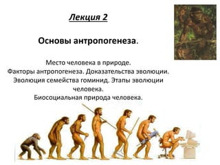 Лекция 2
Основы антропогенеза.
Место человека в природе.
Факторы антропогенеза. Доказательства эволюции.
Эволюция семейства гоминид. Этапы эволюции
человека.
Биосоциальная природа человека.
 