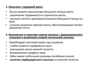 3. Комплекс «трудовой руки»
• Лучше развита мускулатура большого пальца кисти.
• увеличение подвижности и прочности кисти;
• высокая степень противопоставления большого пальца на
руке.
• сильное развитие отделов мозга, обеспечивающих тонкие
движения кисти.
4. Изменения в структуре черепа связаны с формированием
сознания и развитием второй сигнальной системы.
• Преобладает мозговой отдел над лицевым,
• слабее развиты надбровные дуги,
• уменьшена масса нижней челюсти.
• Выпрямление профиля лица
• Зубы имеют небольшие размеры (особенно клыки).
• наличие подбородочного выступа на нижней челюсти.
 
