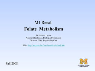M1 Renal:	

                Folate Metabolism 	

                                      	

                              Dr. Robert Lyons	

                 Assistant Professor, Biological Chemistry	

                      Director, DNA Sequencing Core  	

                                       	

               Web: http://seqcore.brcf.med.umich.edu/mcb500  	

                                       	





Fall 2008	

 