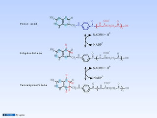 NH2        N   N       H
                                                             O             COO- O
                                HN                       H            H
                                                                 (                   )n
   F ol ic ac id
                                             N       CH2 N   C        N CHCHCH2 C         OH
                                         O                                 2


                                                             NADPH + H
                                                                              +


                                             H               NADP
                                                                       +
                              NH2        N   N       H
                                                                              -
   Di hy d ro fo l at e                              H       O             COO   O
                                HN                       H            H
                                         O
                                             N       CH2 N   C    (   N CHCH2CH2 C   )n   OH


                                                             NADPH + H+

                                             H                         +
                                                                 NADP
                              NH2        N   N       H
                                                     H       O             COO-  O
   T et ra hy d ro fo la te         HN                   H            H
                                         O
                                             N
                                                 H
                                                     CH2 N   C    (   N CHCH2CH2 C   )n   OH
                                             H




R. Lyons
 