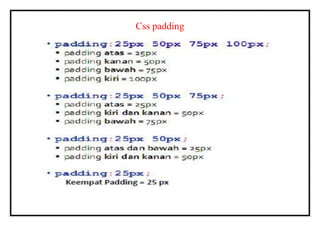 Css padding
 