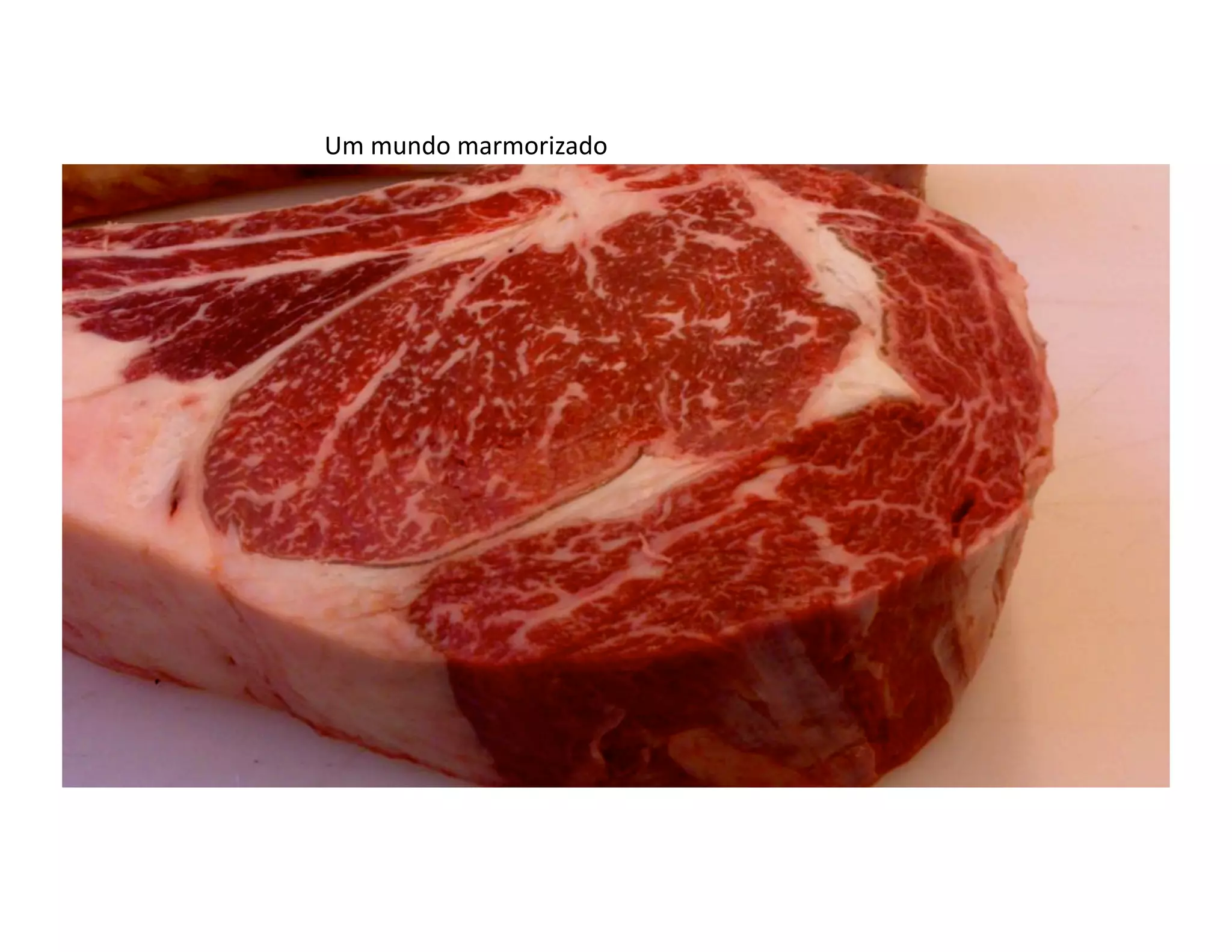 Um	
  mundo	
  marmorizado	
  
 