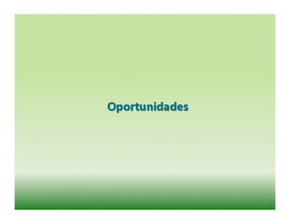 121121 07-wbeef-marcas-roberto-barcellos