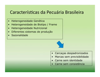 Caracterís)cas	
  da	
  Pecuária	
  Brasileira	
  
•    Heterogeneidade Genética
•    Heterogeneidade de Biotipo / Frame
•    Heterogeneidade Nutricional
•    Diferentes sistemas de produção
•    Sazonalidade




                                  •    Carcaças despadronizados
                                  •    Marcas sem previsibilidade
                                  •    Carne sem identidade
                                  •    Carne sem consistência
 