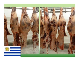 121121 07-wbeef-marcas-roberto-barcellos