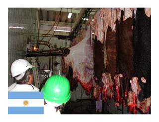 121121 07-wbeef-marcas-roberto-barcellos