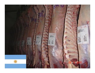 121121 07-wbeef-marcas-roberto-barcellos