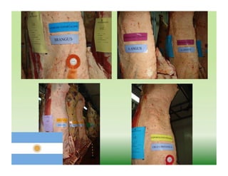 121121 07-wbeef-marcas-roberto-barcellos