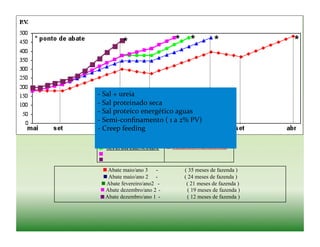 -­‐ Sal	
  +	
  ureia	
  
   	
  
-­‐ Sal	
  proteinado	
  seca	
  
   	
  
-­‐ Sal	
  proteico	
  energético	
  aguas	
  
   	
  
-­‐ Semi-­‐conﬁnamento	
  (	
  1	
  a	
  2%	
  PV)	
  
   	
  
-­‐ Creep	
  feeding	
  
   	
  

 SUPL. DIFERENCIADA                SUPL. CONVENCIONAL



   Abate maio/ano 3 -                      ( 35 meses de fazenda )
   Abate maio/ano 2 -                      ( 24 meses de fazenda )
  Abate fevereiro/ano2 -                    ( 21 meses de fazenda )
  Abate dezembro/ano 2 -                     ( 19 meses de fazenda )
  Abate dezembro/ano 1 -                     ( 12 meses de fazenda )
 