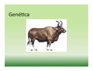 Gené2ca	
  




              5	
  
 