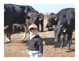 121122 17-wbeef-marcas-roberto-barcellos