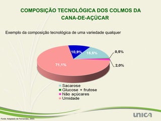 COMPOSIÇÃO TECNOLÓGICA DOS COLMOS DA
                                CANA-DE-AÇÚCAR

    Exemplo da composição tecnológica de uma variedade qualquer




Fonte: Adaptado de Fernandes, 2003.
 
