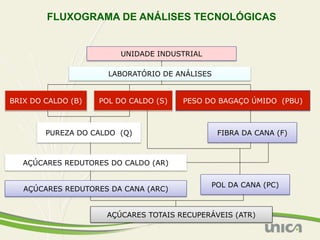 FLUXOGRAMA DE ANÁLISES TECNOLÓGICAS


                         UNIDADE INDUSTRIAL

                      LABORATÓRIO DE ANÁLISES


BRIX DO CALDO (B)   POL DO CALDO (S)   PESO DO BAGAÇO ÚMIDO (PBU)



        PUREZA DO CALDO (Q)                     FIBRA DA CANA (F)



   AÇÚCARES REDUTORES DO CALDO (AR)


                                              POL DA CANA (PC)
   AÇÚCARES REDUTORES DA CANA (ARC)


                     AÇÚCARES TOTAIS RECUPERÁVEIS (ATR)
 