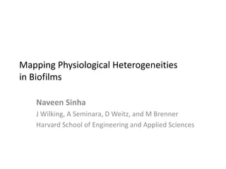Mapping Physiological Heterogeneities
in Biofilms

   Naveen Sinha
   J Wilking, A Seminara, D Weitz, and M Brenner
   Harvard School of Engineering and Applied Sciences
 