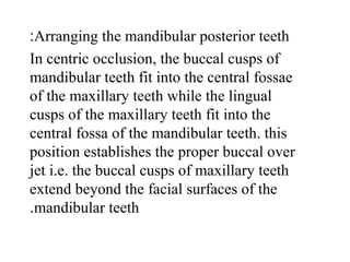Arranging the mandibular posterior teeth:
In centric occlusion, the buccal cusps of
mandibular teeth fit into the central fossae
of the maxillary teeth while the lingual
cusps of the maxillary teeth fit into the
central fossa of the mandibular teeth. this
position establishes the proper buccal over
jet i.e. the buccal cusps of maxillary teeth
extend beyond the facial surfaces of the
mandibular teeth.
 
