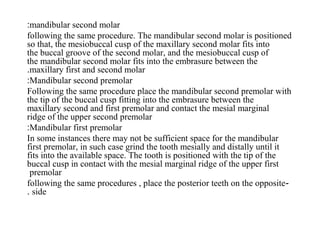 mandibular second molar:
following the same procedure. The mandibular second molar is positioned
so that, the mesiobuccal cusp of the maxillary second molar fits into
the buccal groove of the second molar, and the mesiobuccal cusp of
the mandibular second molar fits into the embrasure between the
maxillary first and second molar.
Mandibular second premolar:
Following the same procedure place the mandibular second premolar with
the tip of the buccal cusp fitting into the embrasure between the
maxillary second and first premolar and contact the mesial marginal
ridge of the upper second premolar
Mandibular first premolar:
In some instances there may not be sufficient space for the mandibular
first premolar, in such case grind the tooth mesially and distally until it
fits into the available space. The tooth is positioned with the tip of the
buccal cusp in contact with the mesial marginal ridge of the upper first
premolar
-following the same procedures , place the posterior teeth on the opposite
side.
 