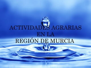 ACTIVIDADES AGRARIAS
EN LA
REGIÓN DE MURCIA
 