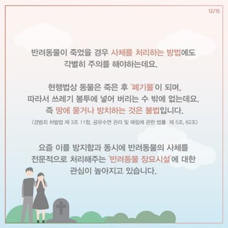 조읶지 최윤소 카드뉴스