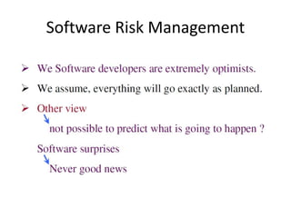Software Risk Management
 