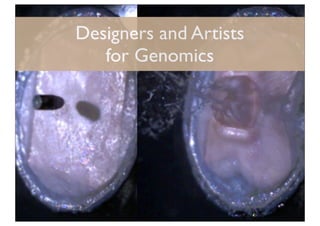 Designers and Artists
   for Genomics
 