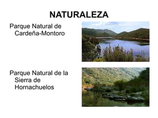 NATURALEZA Parque Natural de Cardeña-Montoro Parque Natural de la Sierra de Hornachuelos 