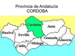 Provincia de Andalucía  CORDOBA 