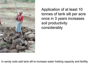 Application of at least 10
                                   tonnes of tank silt per acre
                                   once in 3 years increases
                                   soil productivity
                                   considerably




In sandy soils add tank silt to increase water holding capacity and fertility
 