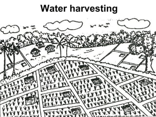 Water harvesting
 