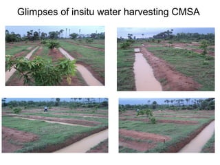 Glimpses of insitu water harvesting CMSA
 