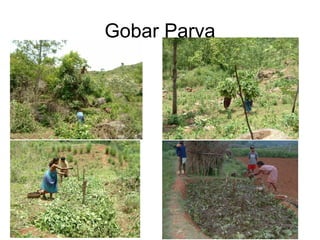Gobar Parva
 