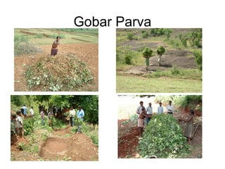 Gobar Parva
 