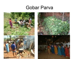 Gobar Parva
 