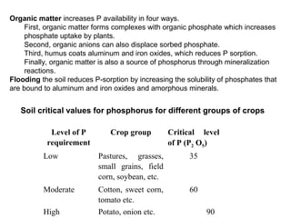 Organic matter increases P availability in four ways.
     First, organic matter forms complexes with organic phosphate which increases
     phosphate uptake by plants.
     Second, organic anions can also displace sorbed phosphate.
     Third, humus coats aluminum and iron oxides, which reduces P sorption.
     Finally, organic matter is also a source of phosphorus through mineralization
     reactions.
Flooding the soil reduces P-sorption by increasing the solubility of phosphates that
are bound to aluminum and iron oxides and amorphous minerals.


   Soil critical values for phosphorus for different groups of crops

            Level of P         Crop group        Critical level
           requirement                           of P (P2 O5)
          Low              Pastures, grasses,           35
                           small grains, field
                           corn, soybean, etc.
          Moderate         Cotton, sweet corn,          60
                           tomato etc.
          High             Potato, onion etc.                90
 