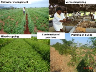 Rainwater management                    Vermicomposting




                       Combination of       Planting on bunds
Mixed cropping           practices
 