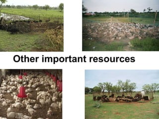 Other important resources
 