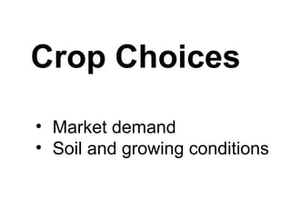 Crop Choices
• Market demand
• Soil and growing conditions
 