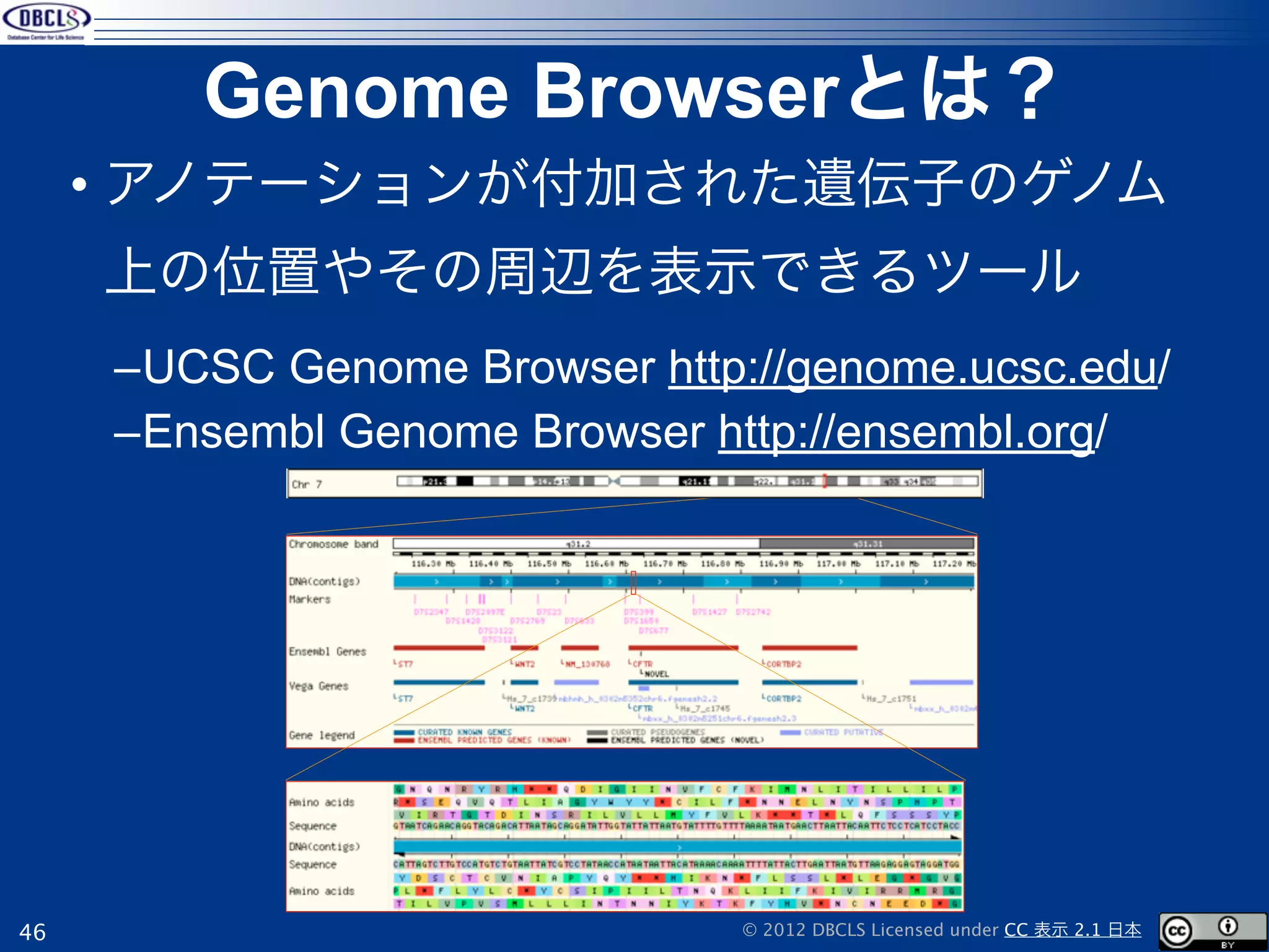 Genome Browserとは？
     • アノテーションが付加された遺伝子のゲノム
     上の位置やその周辺を表示できるツール
     –UCSC Genome Browser http://genome.ucsc.edu/
     –Ensembl Genome Browser http://ensembl.org/




46                             © 2012 DBCLS Licensed under CC 表示 2.1 日本
 