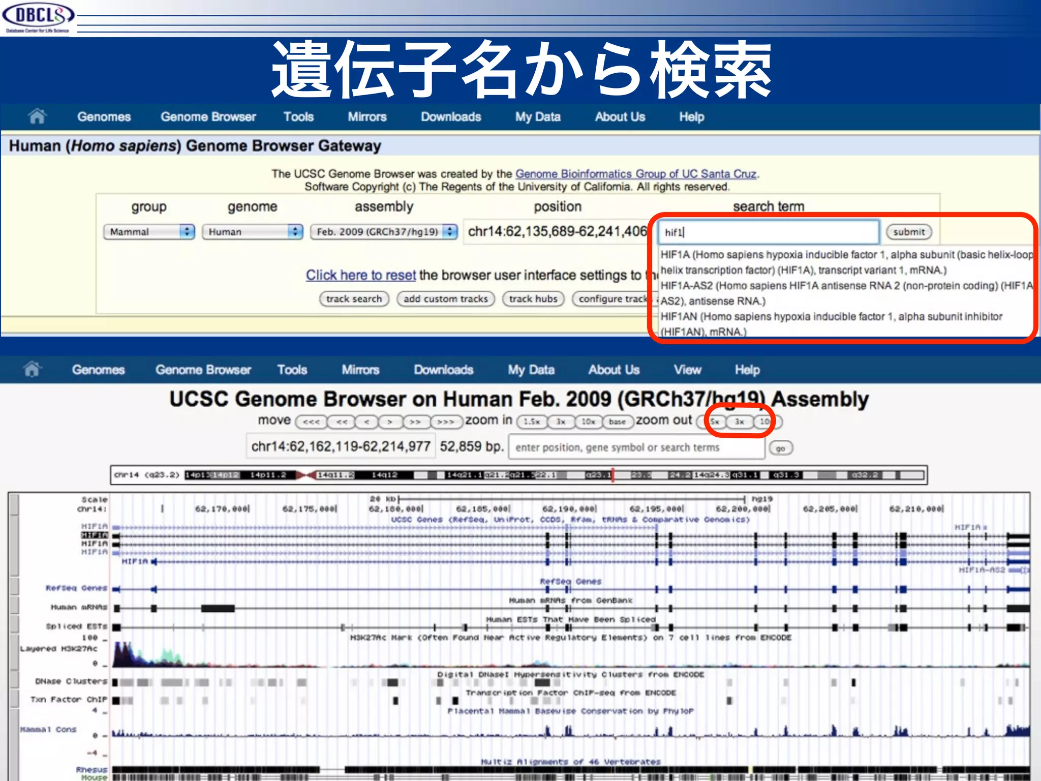 遺伝子名から検索




47        © 2012 DBCLS Licensed under CC 表示 2.1 日本
 