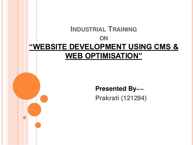 ppt on web development seo