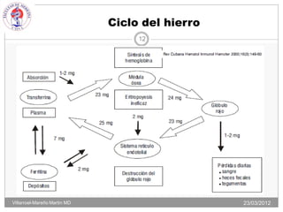 Ciclo del hierro
                                   12




Villarroel-Mareño Martin MD                      23/03/2012
 