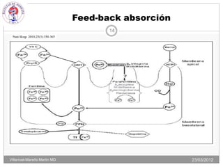 Feed-back absorción
                                     14




Villarroel-Mareño Martin MD                         23/03/2012
 