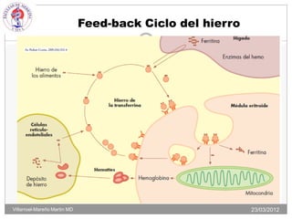 Feed-back Ciclo del hierro
                                        15




Villarroel-Mareño Martin MD                                23/03/2012
 