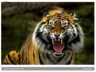 18




Villarroel-Mareño Martin MD        23/03/2012
 