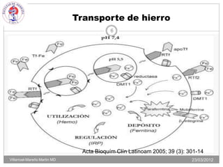 Transporte de hierro
                                          6




                                Acta Bioquím Clín Latinoam 2005; 39 (3): 301-14
Villarroel-Mareño Martin MD                                               23/03/2012
 