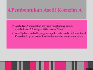4.Pembentukan Asetil Koenzim A
? Asetil Ko-A merupakan senyawa penghubung antara
metabolisme AA dengan Siklus Asam Sitrat
? Ada 2 jalur metabolik yang menuju kepada pembentukkan Asetil
Koenzim A, yaitu Asam Piruvat dan melalui Asam Asetoasetat
 