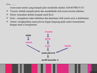 Next
Asam-asam amino yang menjadi jalur metabolik melalui ASAM PIRUVAT :
? Treonin: diubah menjadi glisin dan asetaldehida oleh enzim treonin aldolase
? Glisin: kemudian diubah menjadi asetil KoA
? Serin : mengalami reaksi dehidrasi dan deaminasi oleh enzim serin  dehidratase
? Alanin: menghasilkan asam piruvat degan langsung pada reaksi transaminasi
dengan asam  ketoglutarat.
treonin
sistin
glisin
sistein
serin alanin
asam piruvat
asetil koenzim A
 
