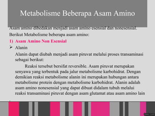 Metabolisme Beberapa Asam Amino
Asam amino dibedakan menjadi asam amino esensial dan nonesensial.
Berikut Metabolisme beberapa asam amino:
1) Asam Amino Non Esensial
? Alanin
Alanin dapat diubah menjadi asam piruvat melalui proses transaminasi
sebagai berikut:
Reaksi tersebut bersifat reversible. Asam piruvat merupakan
senyawa yang terbentuk pada jalur metabolisme karbohidrat. Dengan
demikian reaksi metabolisme alanin ini merupakan hubungan antara
metabolisme protein dengan metabolisme karbohidrat. Alanin adalah
asam amino nonesensial yang dapat dibuat didalam tubuh melalui
reaksi transaminasi piruvat dengan asam glutamat atau asam amino lain
.
 