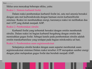 Next
Siklus urea mencakup beberapa siklus, yaitu:
Reaksi 1. Sintesis karbamil fosfat
Dalam reaksi pembentukan karbamil fosfat ini, satu mol amonia bereaksi
dengan satu mol karbondioksida dengan bantuan enzim karbamilfosfat
sintetase. Reaksi ini membutuhkan energi, karenanya reaksi ini melibatkan dua
mol ATP yang diubah menjadi ADP.
Reaksi 2. Pembentukan sitrulin
Karbamil fosfat yang terbentuk bereaksi dengan ornitin membentuk
sitrulin. Dalam reaksi ini bagian karbamil bergabung dengan ornitin dan
memisahkan gugus fosfat. Sebagai katalis pada pembentukan sitrulin adalah
ornitin transkarbamilase yang terdapat pada bagian mitokondria sel hati.
Reaksi 3. Pembentukan asam argininosuksinat
Selanjutnya sitrulin beraksi dengan asam aspartat membentuk asam
argininosuksinat sintetase.Dalam reaksi tersebut ATP merupakan sumber energi
dengan jalan melepaskan gugus fosfat dan berubah menjadi AMP.
 